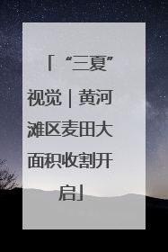 “三夏”视觉｜黄河滩区麦田大面积收割开启